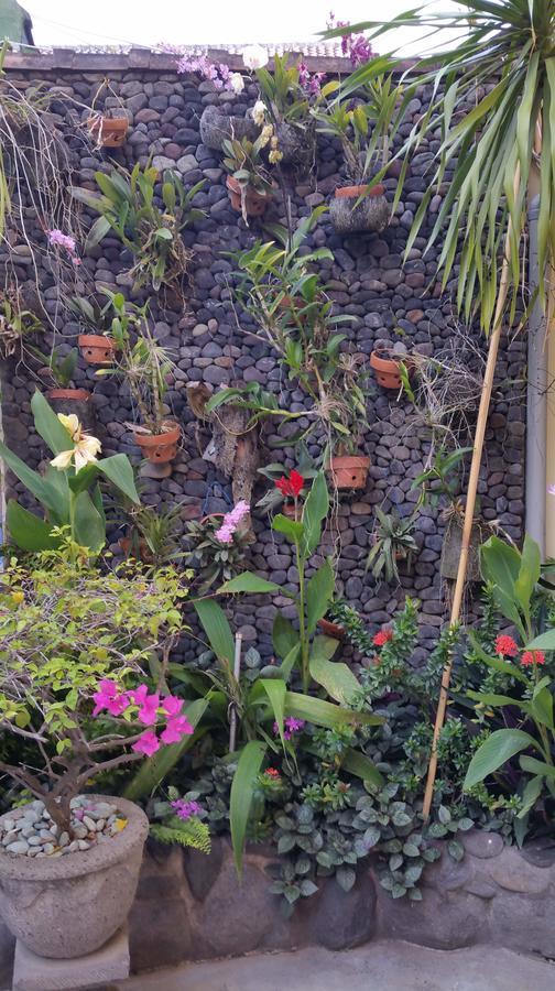 Ayu Taman Sari Hotel Candi Dasa  Luaran gambar